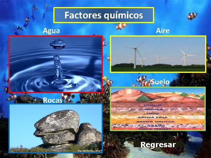 Factores químicos Agua Aire Suelo Rocas Regresar Factores químicos Agua Aire Suelo Rocas Regresar