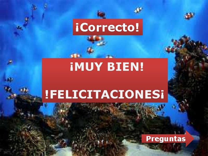 ¡Correcto! ¡MUY BIEN! !FELICITACIONES¡ Preguntas ¡Correcto! ¡MUY BIEN! !FELICITACIONES¡ Preguntas