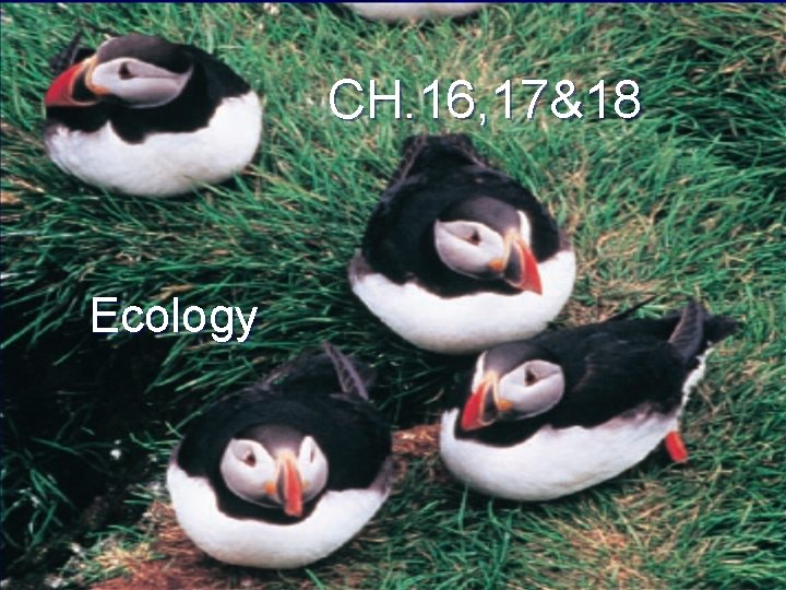 CH. 16, 17&18 Ecology 