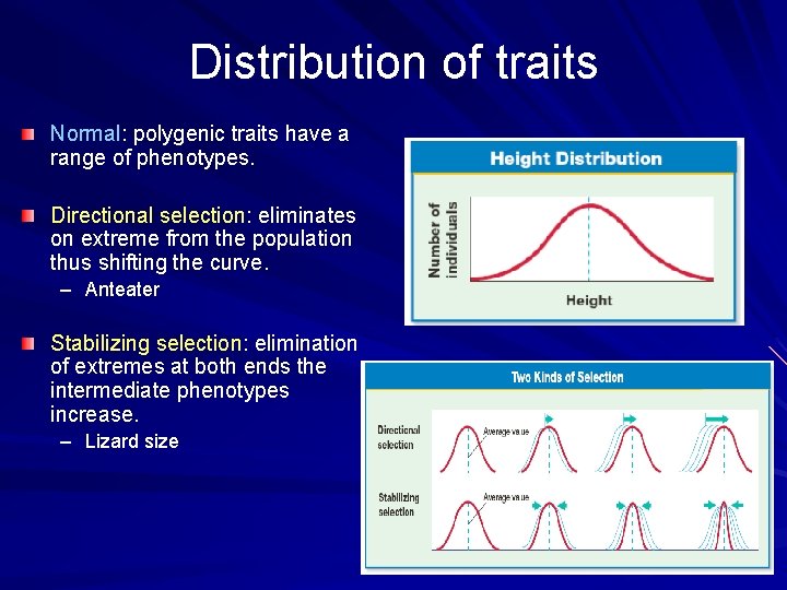 Distribution of traits Normal: polygenic traits have a range of phenotypes. Directional selection: eliminates