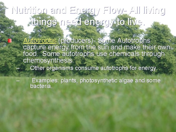 Nutrition and Energy Flow- All living things need energy to live. Autotrophs (producers)- Some