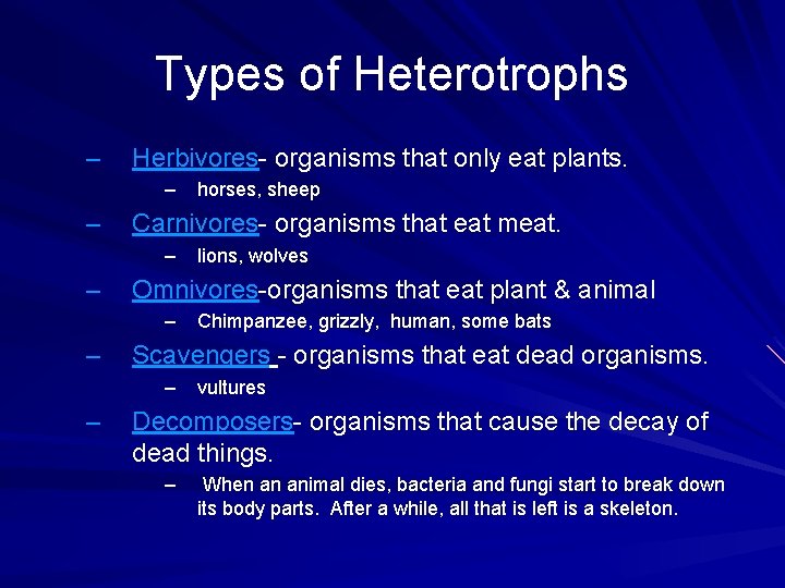 Types of Heterotrophs – Herbivores- organisms that only eat plants. – – Carnivores- organisms