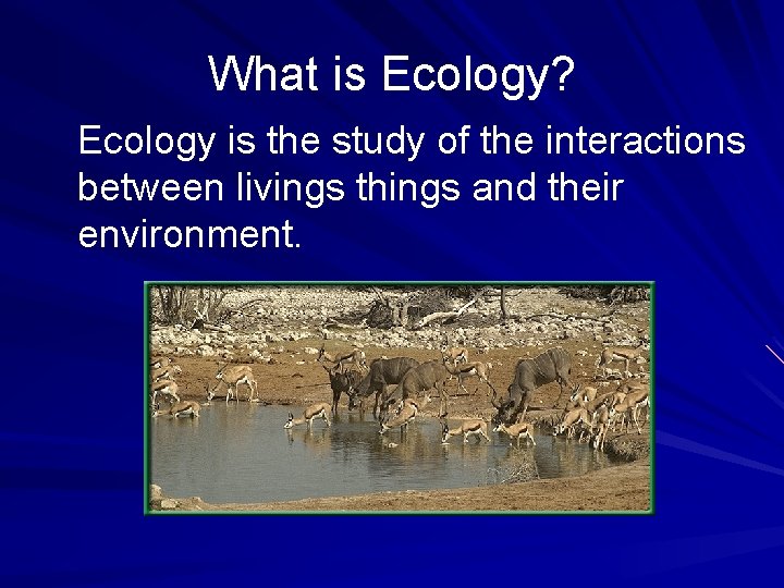 What is Ecology? Ecology is the study of the interactions between livings things and