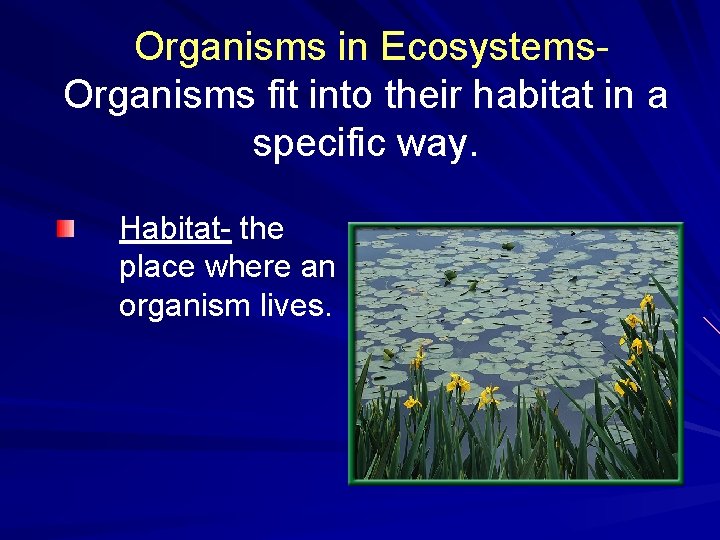  Organisms in Ecosystems- Organisms fit into their habitat in a specific way. Habitat-