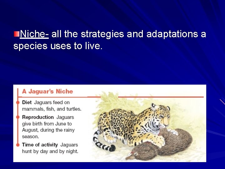 Niche- all the strategies and adaptations a species uses to live. 