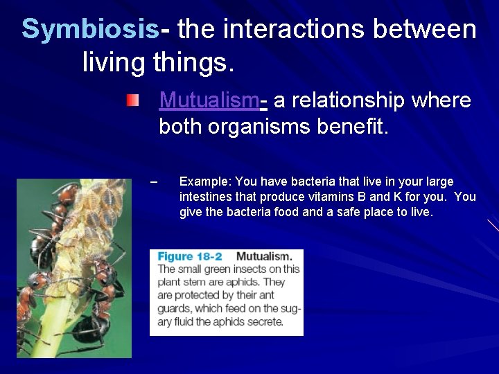 Symbiosis- the interactions between living things. Mutualism- a relationship where both organisms benefit. –