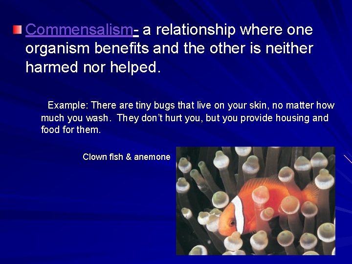 Commensalism- a relationship where one organism benefits and the other is neither harmed nor