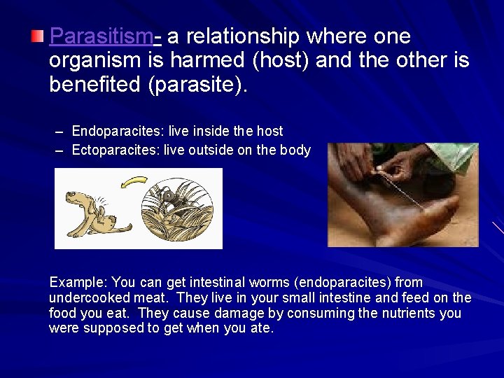 Parasitism- a relationship where one organism is harmed (host) and the other is benefited