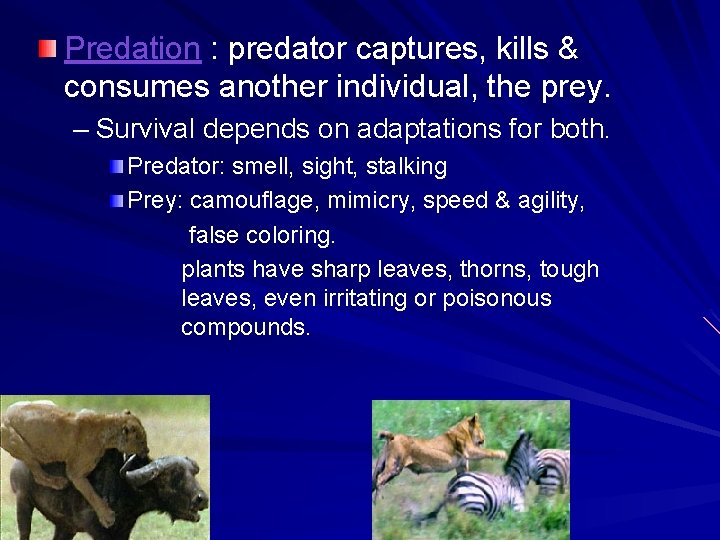 Predation : predator captures, kills & consumes another individual, the prey. – Survival depends