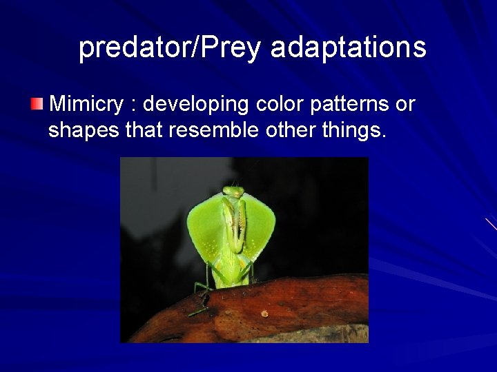  predator/Prey adaptations Mimicry : developing color patterns or shapes that resemble other things.