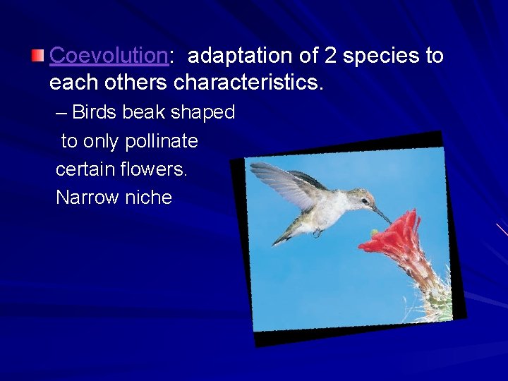 Coevolution: adaptation of 2 species to each others characteristics. – Birds beak shaped to