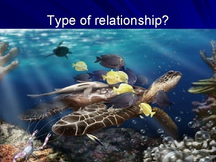 Type of relationship? 