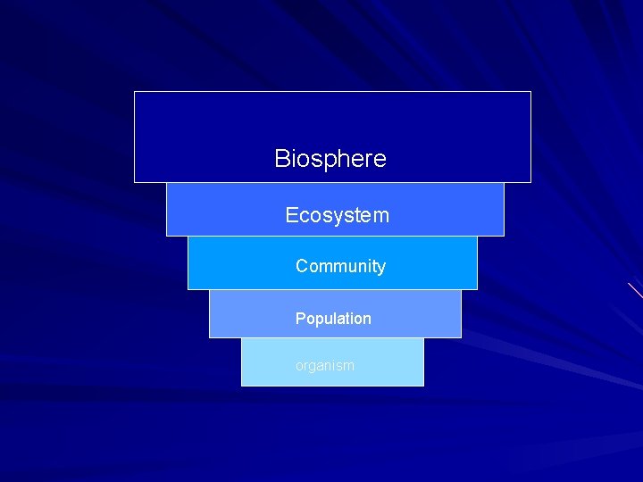 Biosphere Ecosystem Community Population organism 