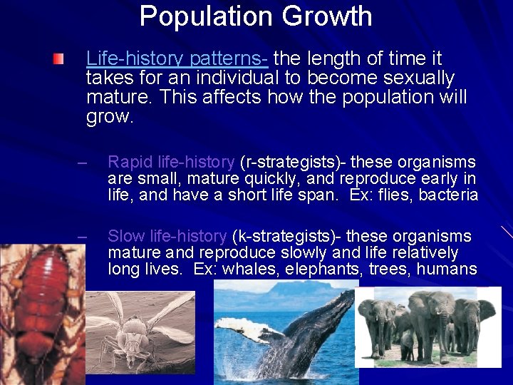 Population Growth Life-history patterns- the length of time it takes for an individual to