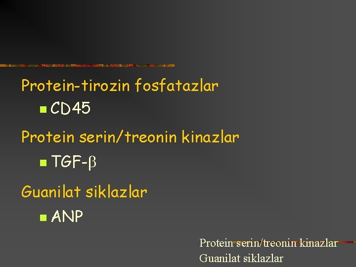 Protein-tirozin fosfatazlar n CD 45 Protein serin/treonin kinazlar n TGF- Guanilat siklazlar n ANP