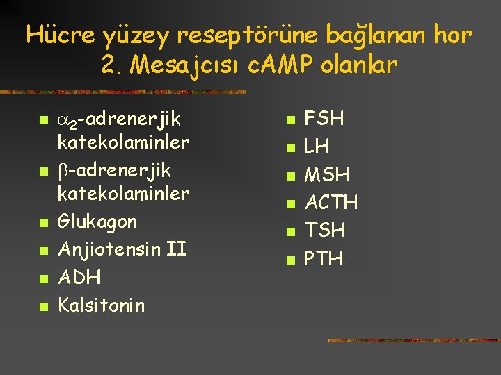 Hücre yüzey reseptörüne bağlanan hor 2. Mesajcısı c. AMP olanlar n n n 2