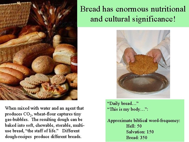 Bread has enormous nutritional and cultural significance! When mixed with water and an agent