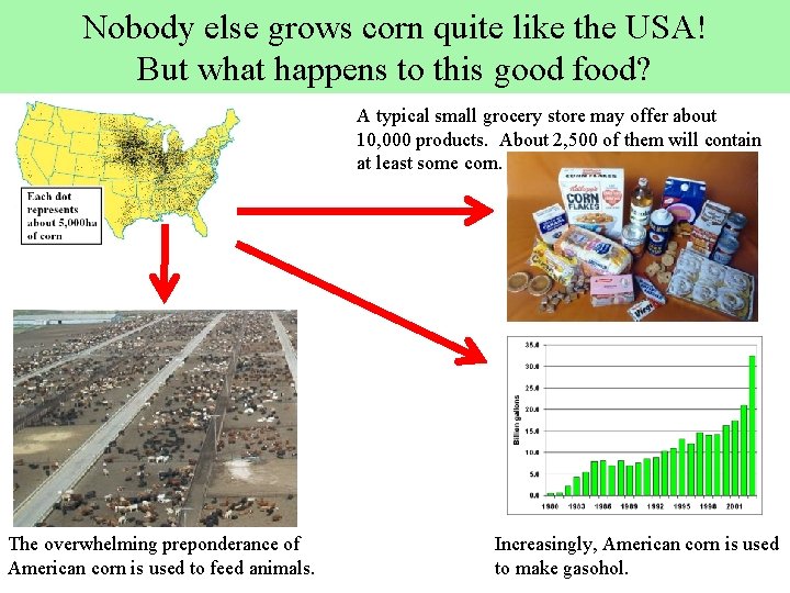 Nobody else grows corn quite like the USA! But what happens to this good