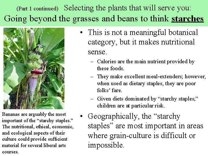 (Part 1 continued) Selecting the plants that will serve you: Going beyond the grasses