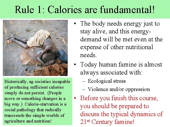 Rule 1: Calories are fundamental! • The body needs energy just to stay alive,