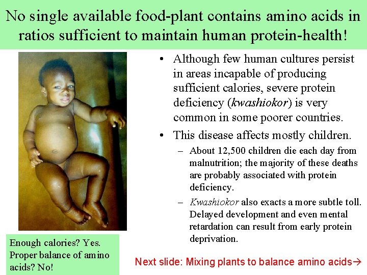 No single available food-plant contains amino acids in ratios sufficient to maintain human protein-health!