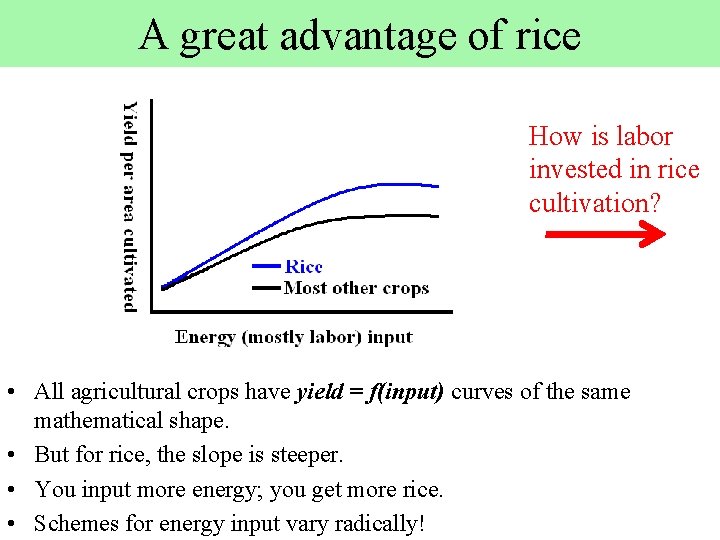 A great advantage of rice How is labor invested in rice cultivation? • All