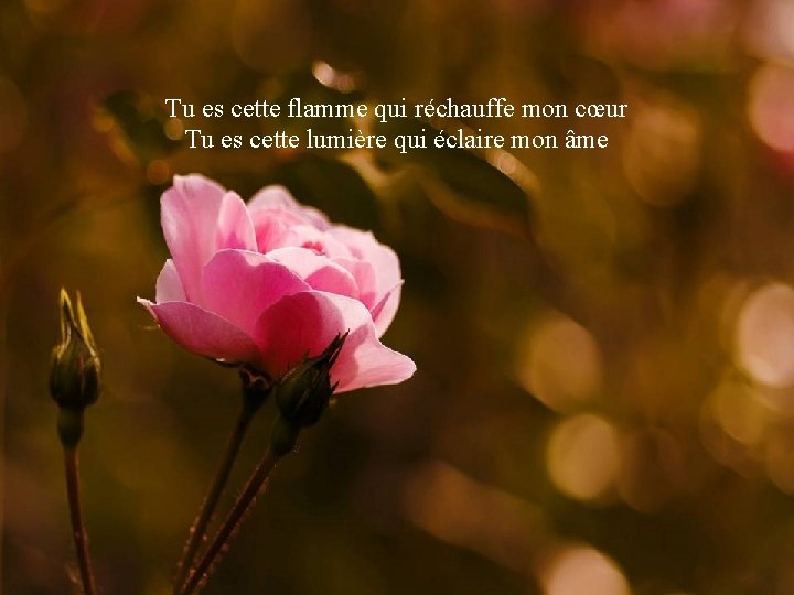 Tu es cette flamme qui réchauffe mon cœur Tu es cette lumière qui éclaire