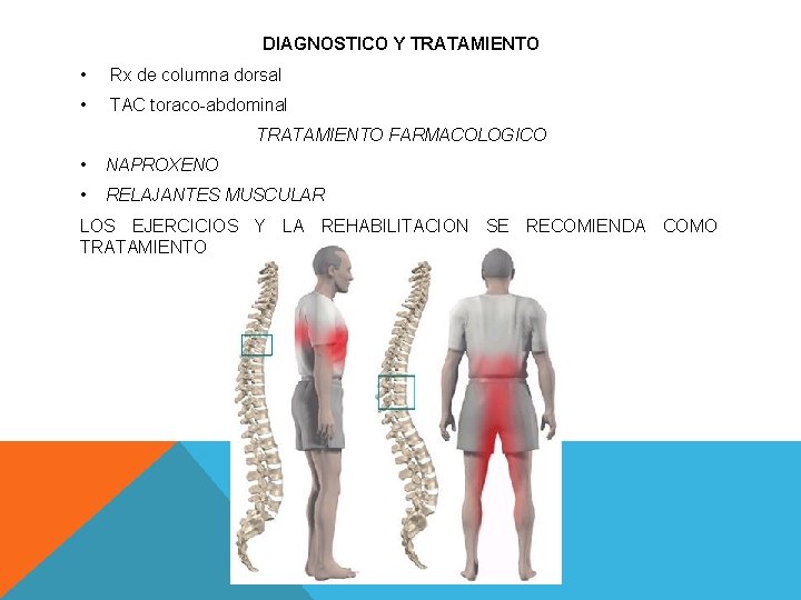 DIAGNOSTICO Y TRATAMIENTO • Rx de columna dorsal • TAC toraco-abdominal TRATAMIENTO FARMACOLOGICO •