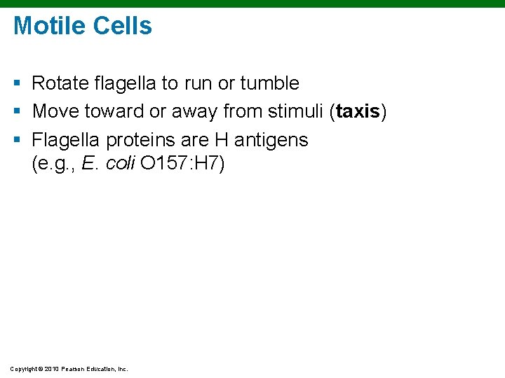 Motile Cells § Rotate flagella to run or tumble § Move toward or away Motile Cells § Rotate flagella to run or tumble § Move toward or away