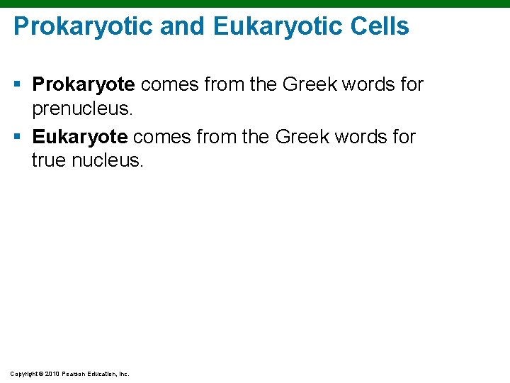 Prokaryotic and Eukaryotic Cells § Prokaryote comes from the Greek words for prenucleus. § Prokaryotic and Eukaryotic Cells § Prokaryote comes from the Greek words for prenucleus. §