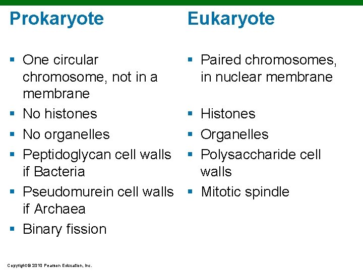 Prokaryote Eukaryote § One circular chromosome, not in a membrane § No histones § Prokaryote Eukaryote § One circular chromosome, not in a membrane § No histones §
