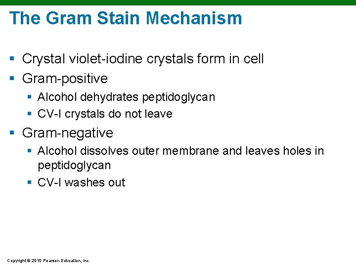 The Gram Stain Mechanism § Crystal violet-iodine crystals form in cell § Gram-positive § The Gram Stain Mechanism § Crystal violet-iodine crystals form in cell § Gram-positive §