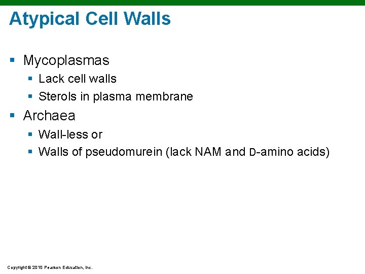 Atypical Cell Walls § Mycoplasmas § Lack cell walls § Sterols in plasma membrane Atypical Cell Walls § Mycoplasmas § Lack cell walls § Sterols in plasma membrane