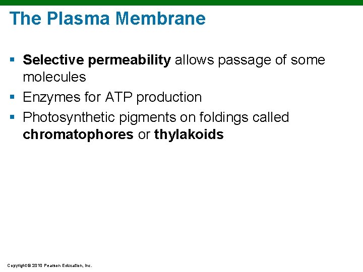 The Plasma Membrane § Selective permeability allows passage of some molecules § Enzymes for The Plasma Membrane § Selective permeability allows passage of some molecules § Enzymes for
