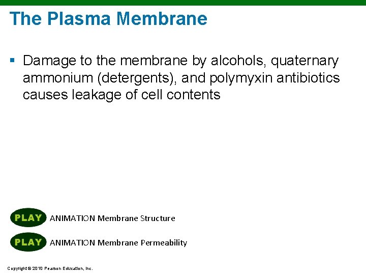 The Plasma Membrane § Damage to the membrane by alcohols, quaternary ammonium (detergents), and The Plasma Membrane § Damage to the membrane by alcohols, quaternary ammonium (detergents), and