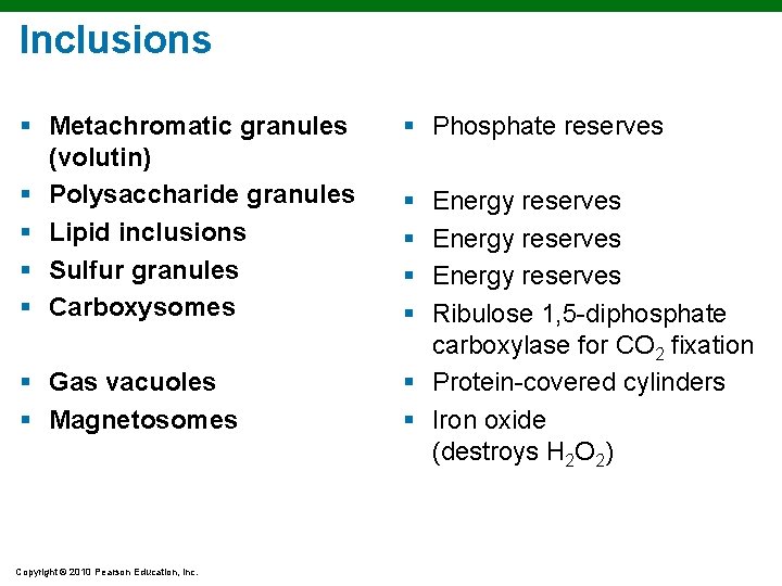 Inclusions § Metachromatic granules (volutin) § Polysaccharide granules § Lipid inclusions § Sulfur granules Inclusions § Metachromatic granules (volutin) § Polysaccharide granules § Lipid inclusions § Sulfur granules