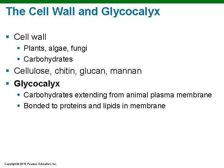 The Cell Wall and Glycocalyx § Cell wall § Plants, algae, fungi § Carbohydrates The Cell Wall and Glycocalyx § Cell wall § Plants, algae, fungi § Carbohydrates