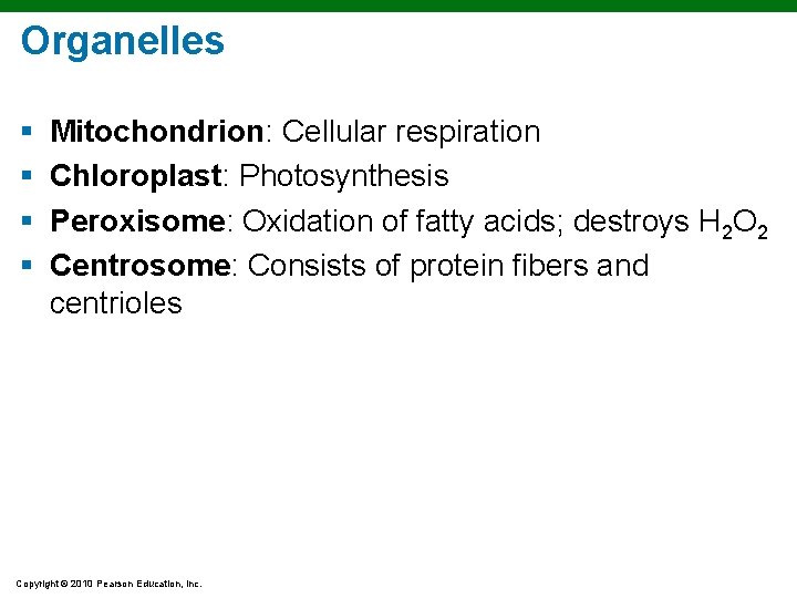 Organelles § § Mitochondrion: Cellular respiration Chloroplast: Photosynthesis Peroxisome: Oxidation of fatty acids; destroys Organelles § § Mitochondrion: Cellular respiration Chloroplast: Photosynthesis Peroxisome: Oxidation of fatty acids; destroys