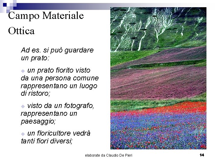 Campo Materiale Ottica Ad es. si può guardare un prato: un prato fiorito visto