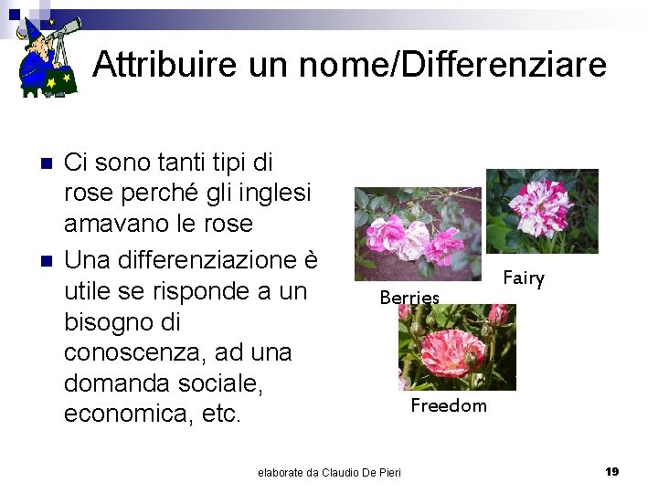 Attribuire un nome/Differenziare n n Ci sono tanti tipi di rose perché gli inglesi