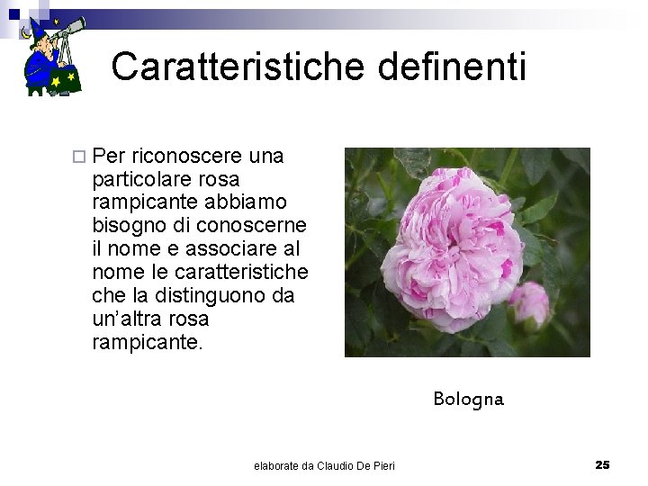 Caratteristiche definenti ¨ Per riconoscere una particolare rosa rampicante abbiamo bisogno di conoscerne il