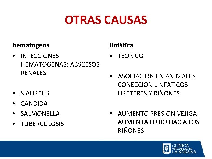 OTRAS CAUSAS hematogena linfática • INFECCIONES HEMATOGENAS: ABSCESOS RENALES • TEORICO • • S OTRAS CAUSAS hematogena linfática • INFECCIONES HEMATOGENAS: ABSCESOS RENALES • TEORICO • • S