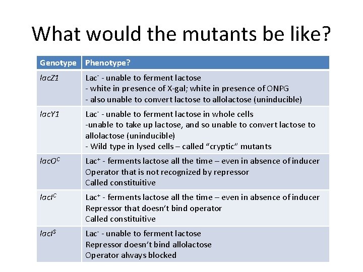 What would the mutants be like? Genotype Phenotype? lac. Z 1 Lac- - unable