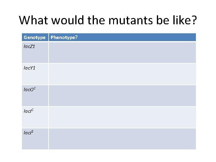 What would the mutants be like? Genotype Phenotype? lac. Z 1 lac. Y 1