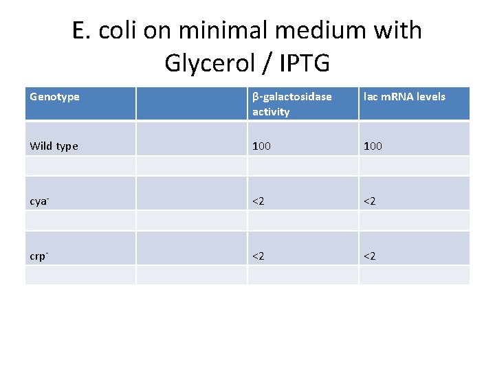 E. coli on minimal medium with Glycerol / IPTG Genotype β-galactosidase activity lac m.