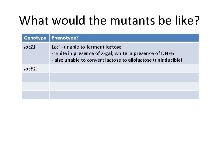 What would the mutants be like? Genotype Phenotype? lac. Z 1 lac. Y 1?