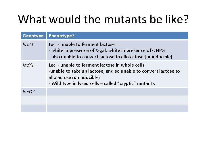 What would the mutants be like? Genotype Phenotype? lac. Z 1 Lac- - unable
