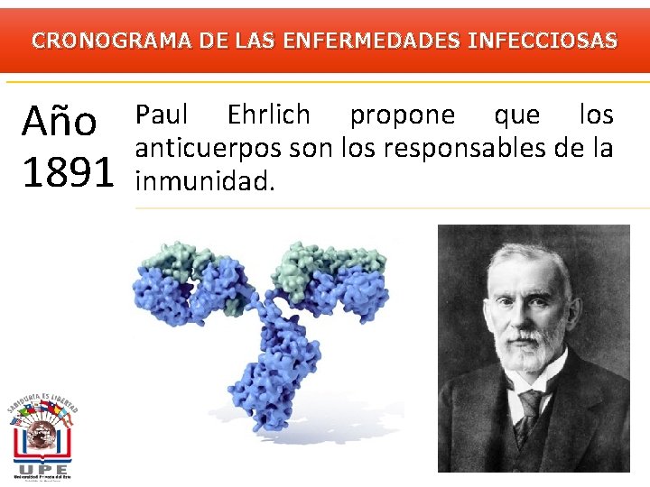 CRONOGRAMA DE LAS ENFERMEDADES INFECCIOSAS Año 1891 Paul Ehrlich propone que los anticuerpos son