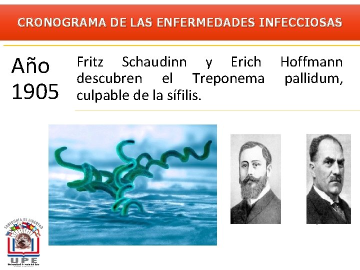 CRONOGRAMA DE LAS ENFERMEDADES INFECCIOSAS Año 1905 Fritz Schaudinn y Erich Hoffmann descubren el