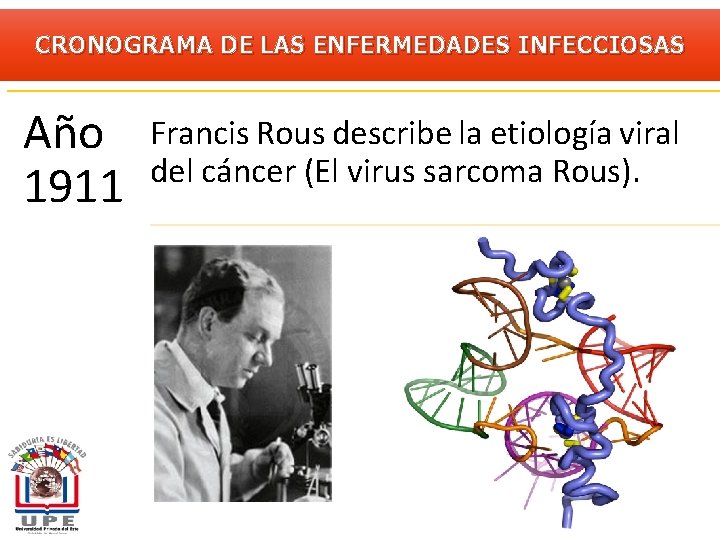 CRONOGRAMA DE LAS ENFERMEDADES INFECCIOSAS Año 1911 Francis Rous describe la etiología viral del